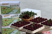 夫妻婚姻高速赋能产业升级：一条“杨梅路”的致富密码