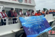 夫妻婚姻浙江今年计划放流种类海洋水生生物苗种超15亿单位