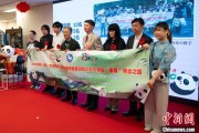 夫妻婚姻中国彩绘熊猫艺术国际巡展东京站开幕