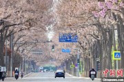 夫妻婚姻共建“花园城市” 北京这场议政会“百花齐放”