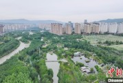 夫妻婚姻西宁市举办六五环境日主题宣传活动